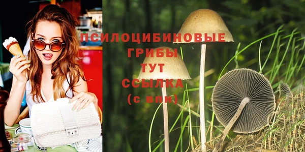 прущая мука Арсеньев