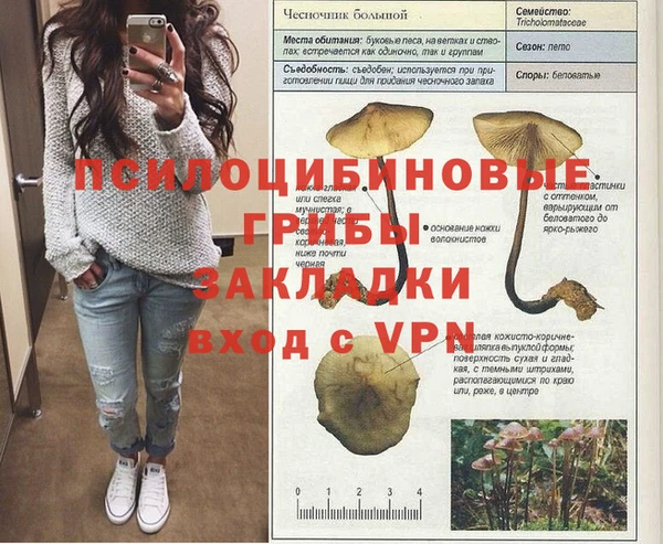 прущая мука Арсеньев